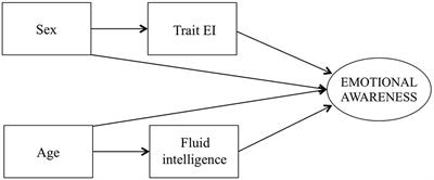 The Relationship Between Trait Emotional Intelligence, Cognition, and Emotional Awareness: An Interpretative Model